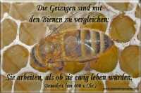 Die Geizigen sind mit den Bienen zu vergleichen: Sie arbeiten, als ob sie ewig leben würden.