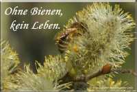 Ohne Bienen, kein Leben.